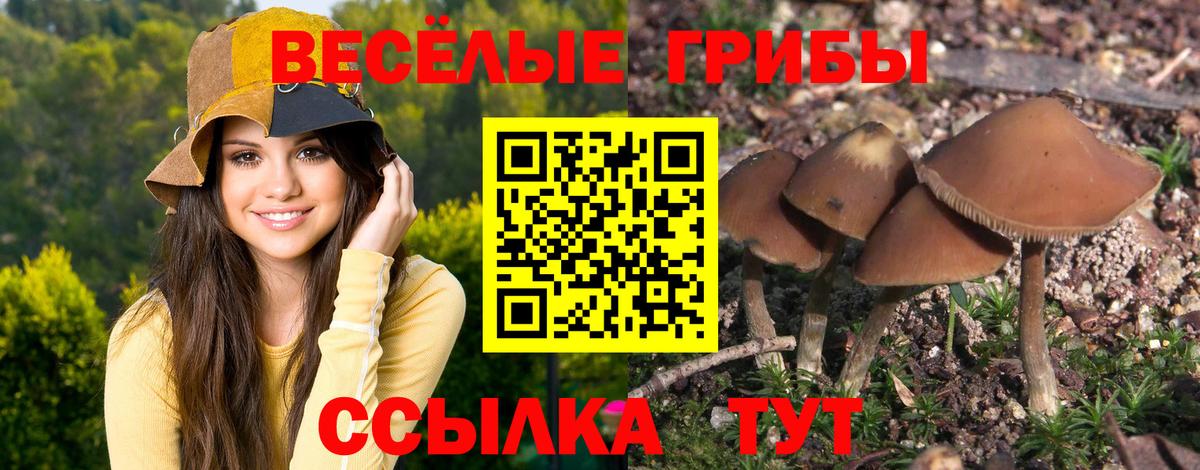 COCAIN Верхняя Салда