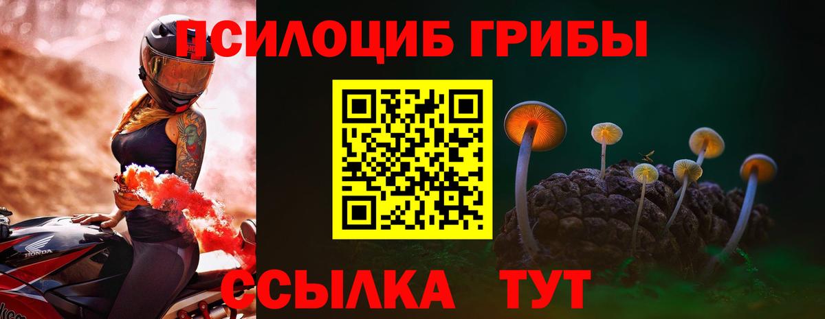 Верхняя Салда  Галлюциногенные грибы прущие грибы  Вход с VPN 